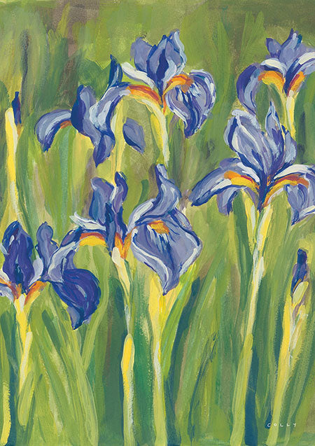 Irises