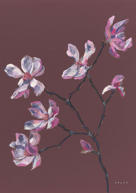 Magnolias