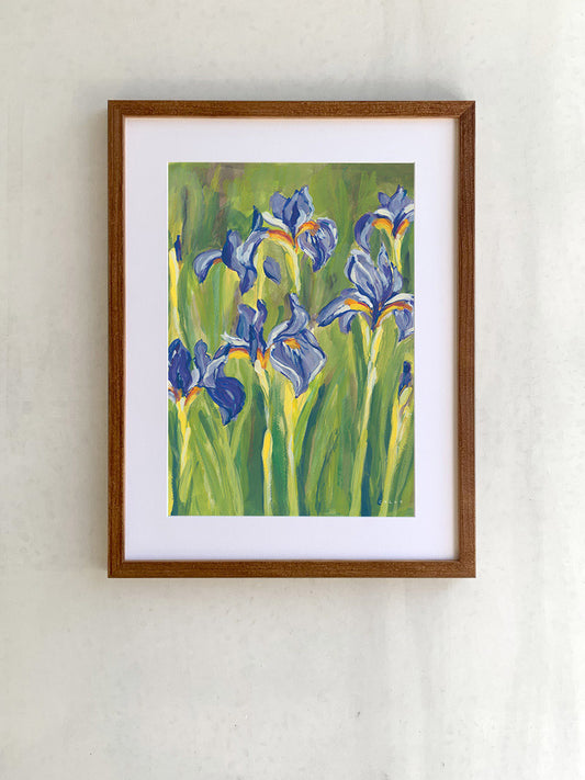 Irises